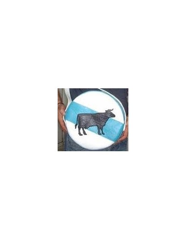 Funda pandereta skay