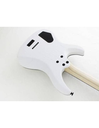 FGN Fujigen JMY2ASHE