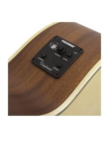 Tanglewood TAB1CE. Bajo acustico