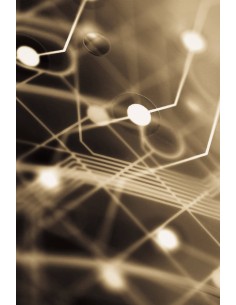 Artigo personalizado