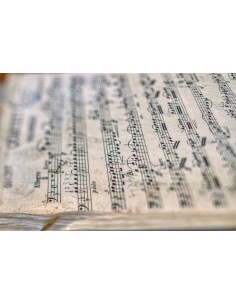 Articulo personalizado