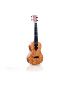 Ashton Concierto UKE400SMH