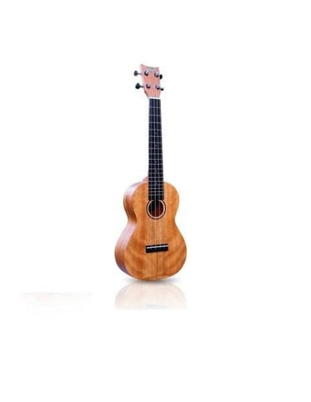 Ashton Concierto UKE400SMH