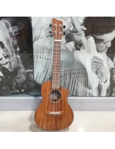 VGS Concerto cutaway