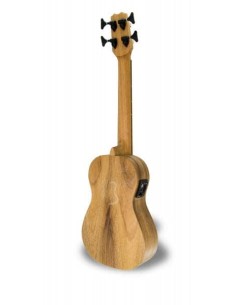 Kala Bajo electrificado 2