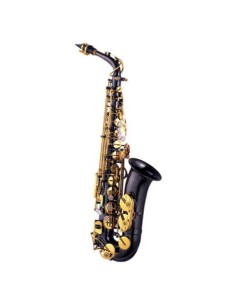 Saxo Alto Michael Al800 Negro