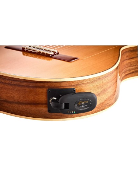 Sistema digital inalámbrico para instrumentos