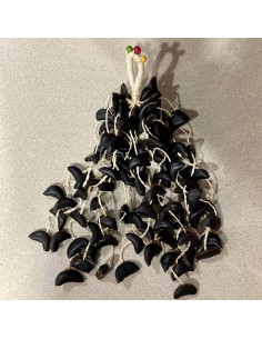 Shaker semillas grande