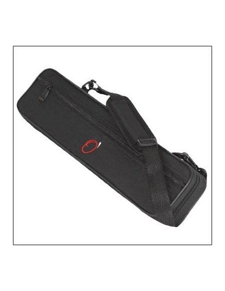 Flauta travesera: Estuche rectangular