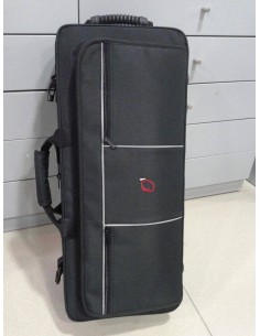Saxo alto: Estuche rectangular 2
