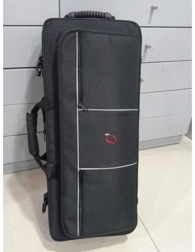 Saxo alto: Estuche rectangular