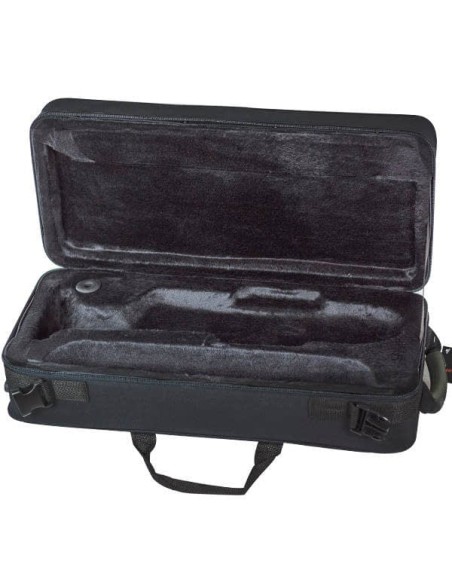 Trompeta: Estuche rectangular