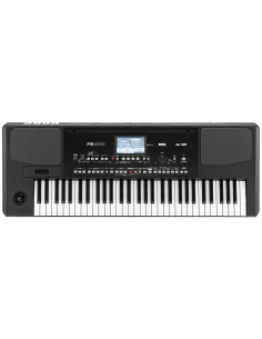 Korg PA-300