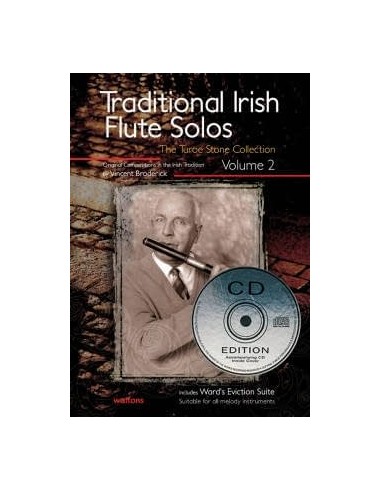 Flauta. Traditional Irish solos 2