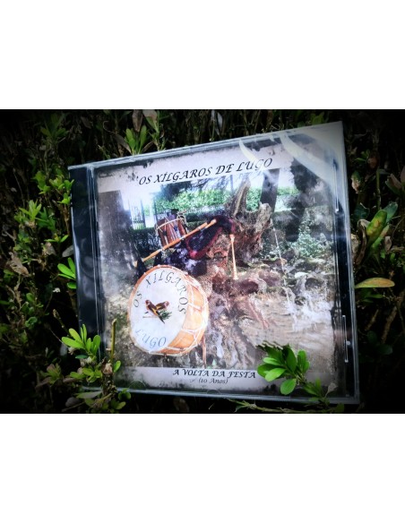 Os Xílgaros de Lugo. A volta da festa (10 anos)