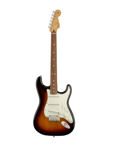 Fender Strat Player
