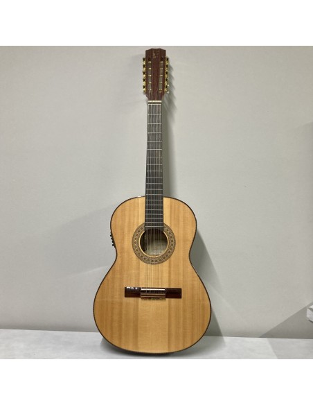 Viola Caipira APC Palosanto. Toda maciza. Electrificada- Usada