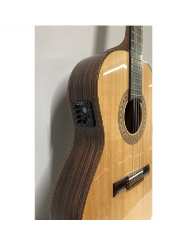 Viola Caipira APC Palosanto. Toda maciza....