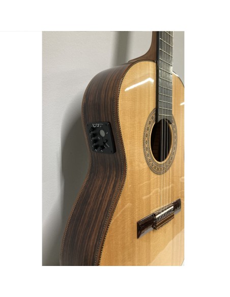 Viola Caipira APC Palosanto. Toda maciza. Electrificada- Usada