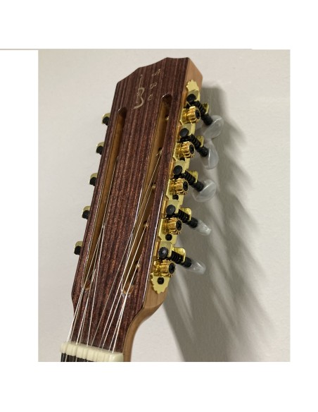 Viola Caipira APC Palosanto. Toda maciza. Electrificada- Usada