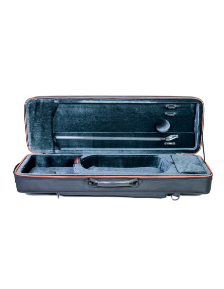 Violin Swenk Picasso