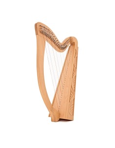 Arpa 29 cuerdas 2