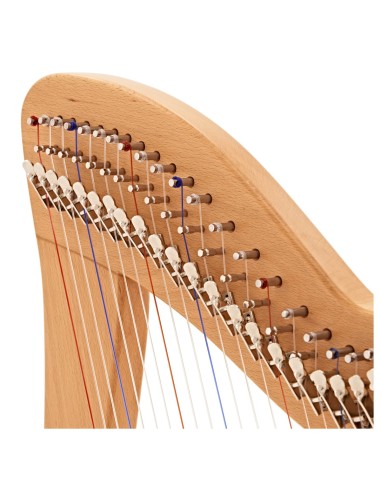 Arpa 29 cuerdas