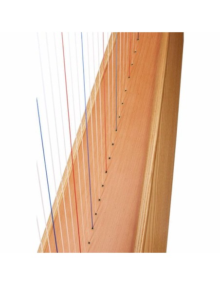 Arpa 36 Cuerdas
