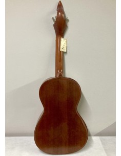 Viola braguesa apc 2