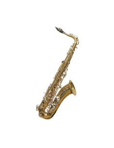 Saxo Tenor J Michael TN900