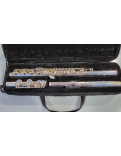 Flauta Michael 401- Usada