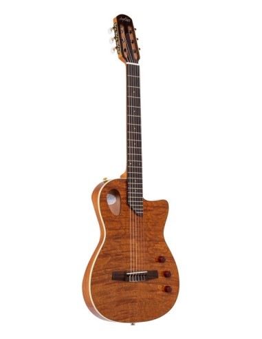 Guitarra semiacustica