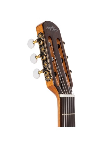 Guitarra semiacustica