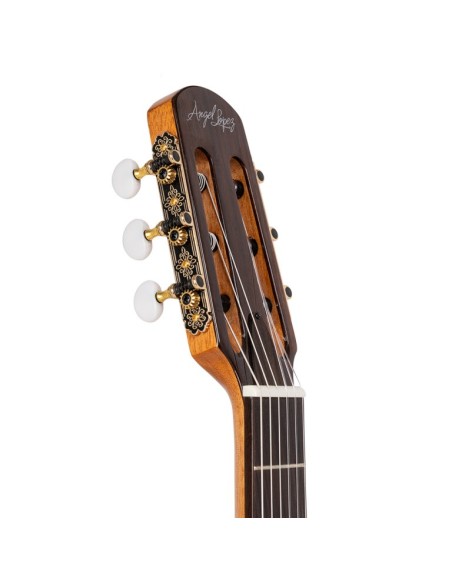 Guitarra semiacustica