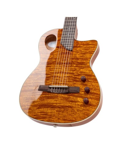 Guitarra semiacustica