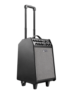 Joyo Jpa-866. Recargable. 2 Micros.