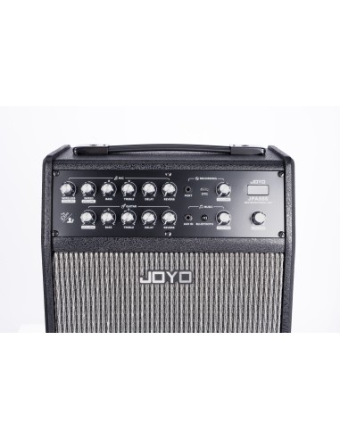 Joyo Jpa-866. Recargable. 2 Micros.