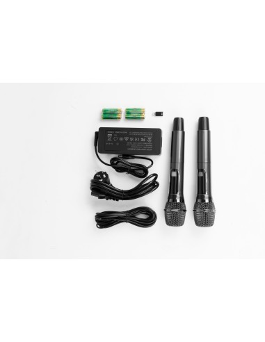 Joyo Jpa-866. Recargable. 2 Micros.