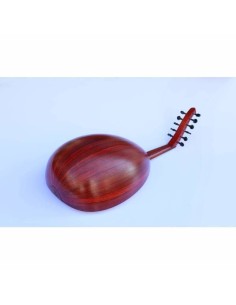 OUD Arabe profesional 2