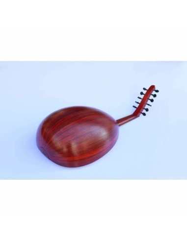 OUD Arabe profesional