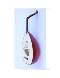 OUD Arabe profesional